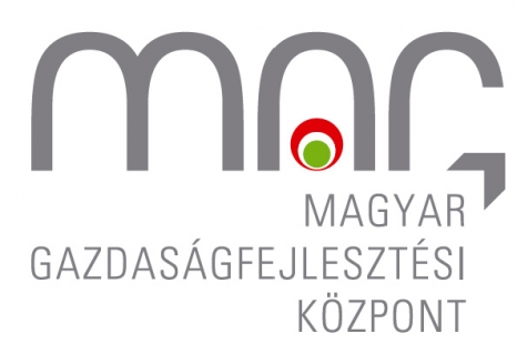 magzrt_logo